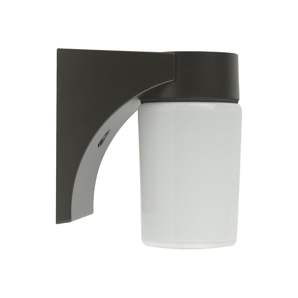 RAB Light Fixture